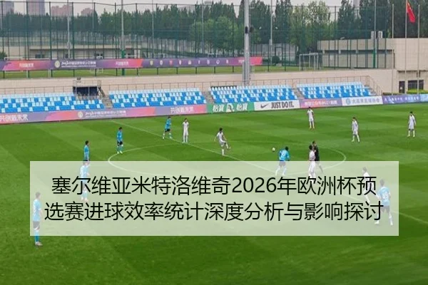 塞尔维亚米特洛维奇2026年欧洲杯预选赛进球效率统计深度分析与影响探讨